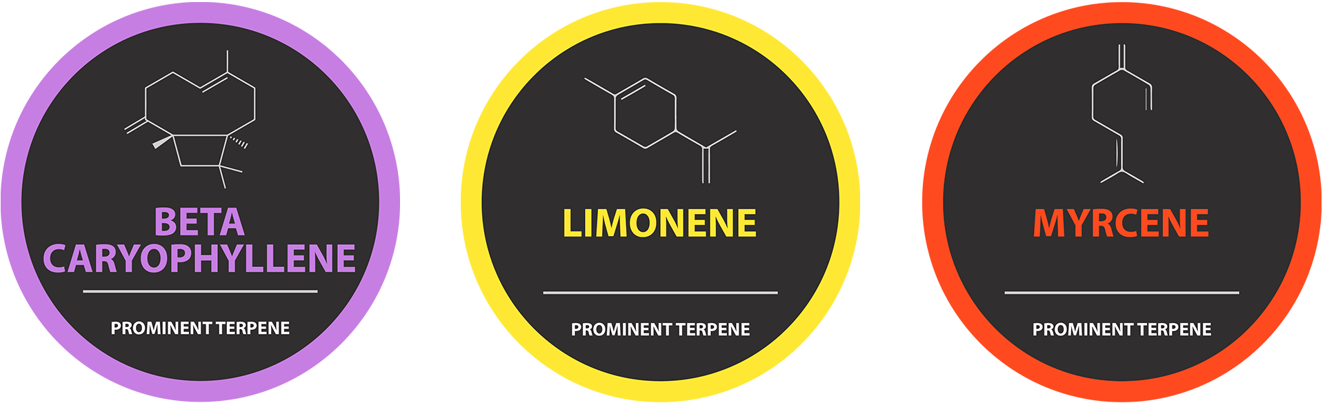 Skywalker OG - Pure Terpenes